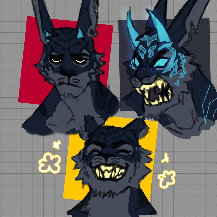 expressions